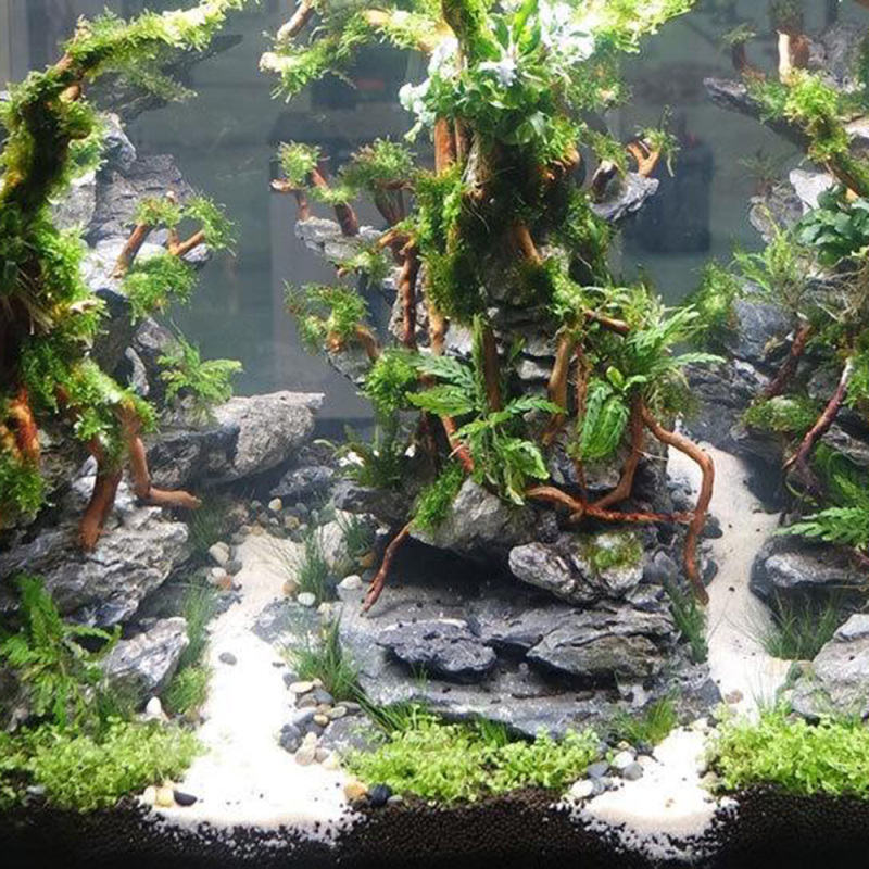 Natural Driftwood Root Trunk T - Aquarium Driftwood ulasan dan harga