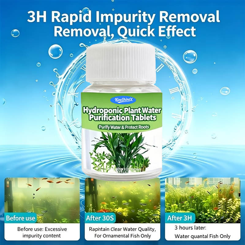 Hydroponic Water Purification  - Plant Aquarium Pot ulasan dan harga