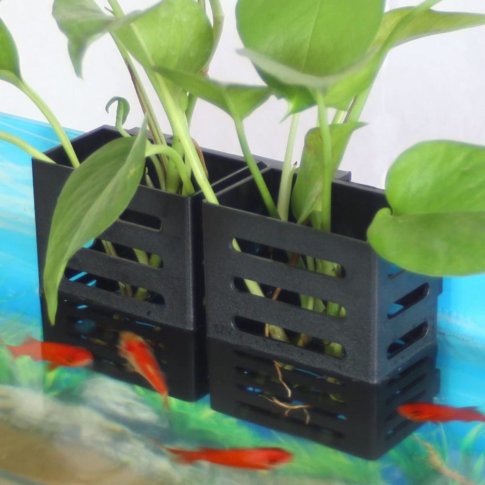 Aquarium Fish Tank Plant Holde - Aquarium Plant Holder ulasan dan harga