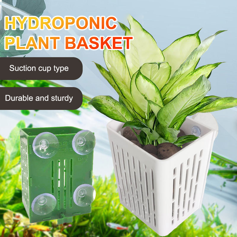 Hanging Suction Cup Hook Aquar - Plant Aquarium Pot ulasan dan harga