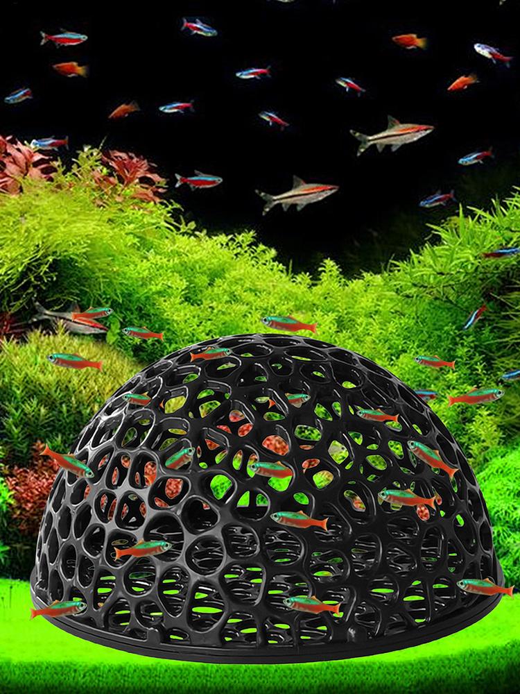 Aquarium Hiden Cave Shelter fo - Aquarium Plants Live ulasan dan harga