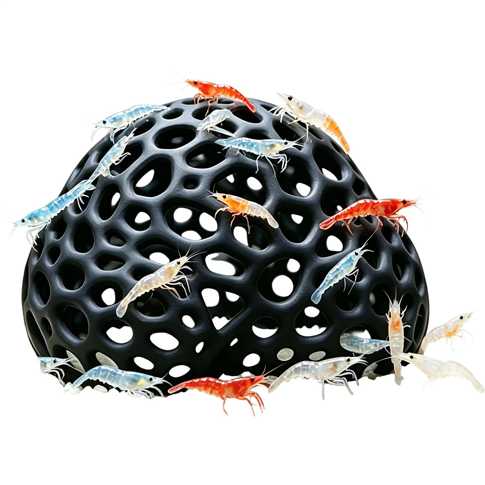 Dome Shaped Aquarium Cave Mult - Aquarium Plants Live ulasan dan harga