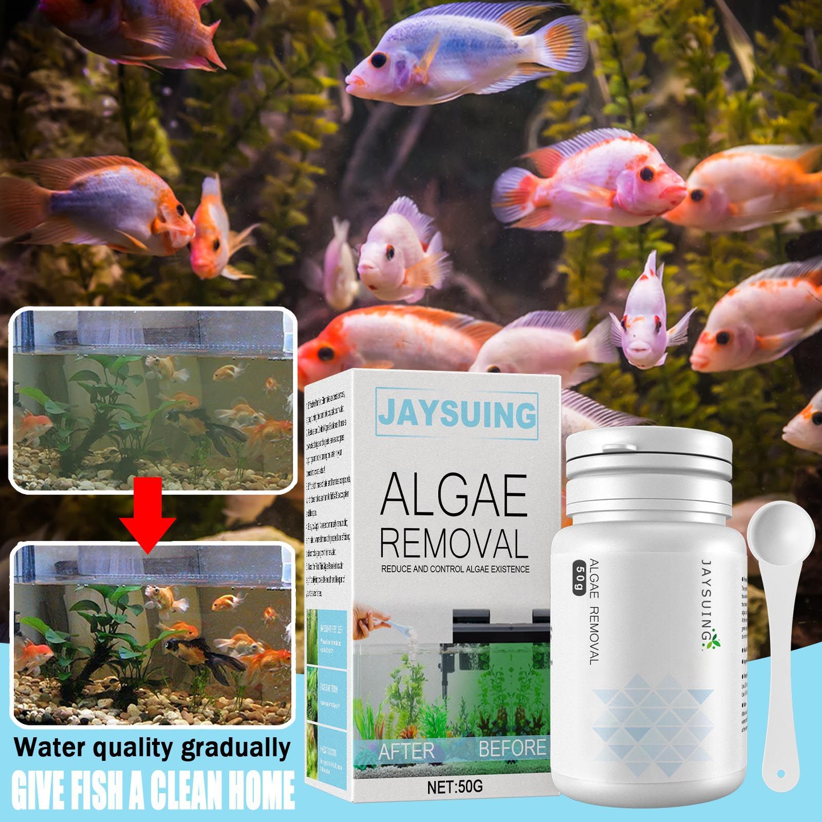 Aquarium Algae Remover Powder, - Aquarium Moss ulasan dan harga