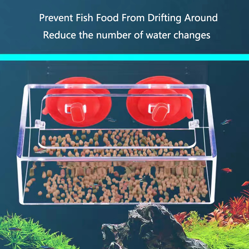 Aquarium Feeding Ring Fish Tan - Aquarium Fertilizer ulasan dan harga