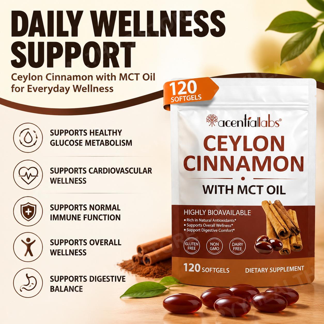 Ceylon Cinnamon with Coconut M - Planted Tank ulasan dan harga