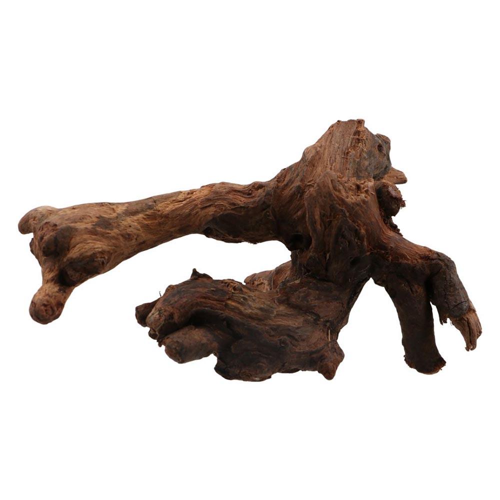 Creative Irregular Shape Coral - Aquarium Plants Live ulasan dan harga