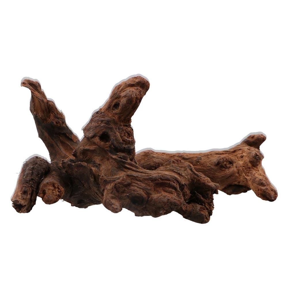 Creative Irregular Shape Coral - Aquarium Plants Live ulasan dan harga