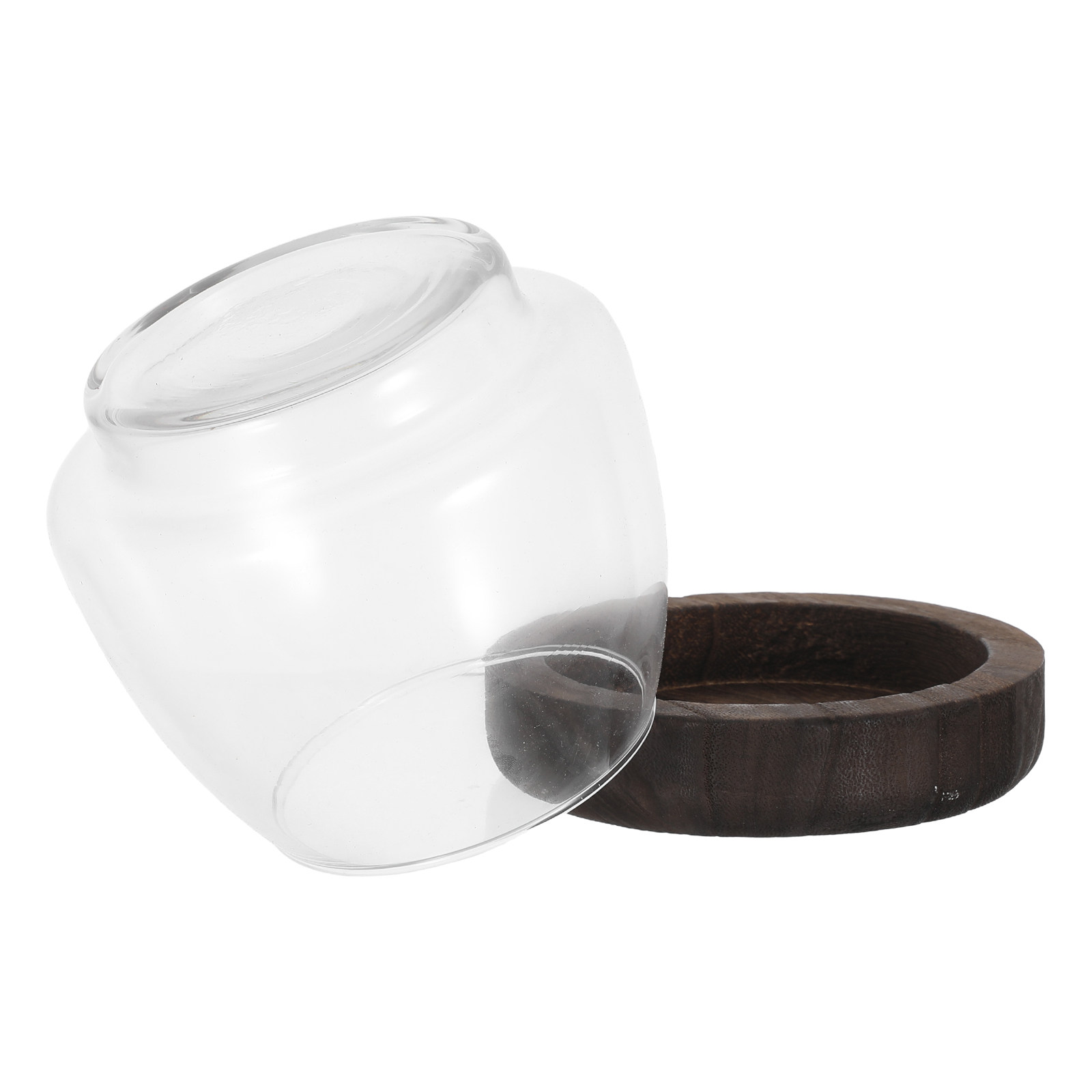 Round Glass Hydroponic Plant H - Aquarium Plant Holder ulasan dan harga
