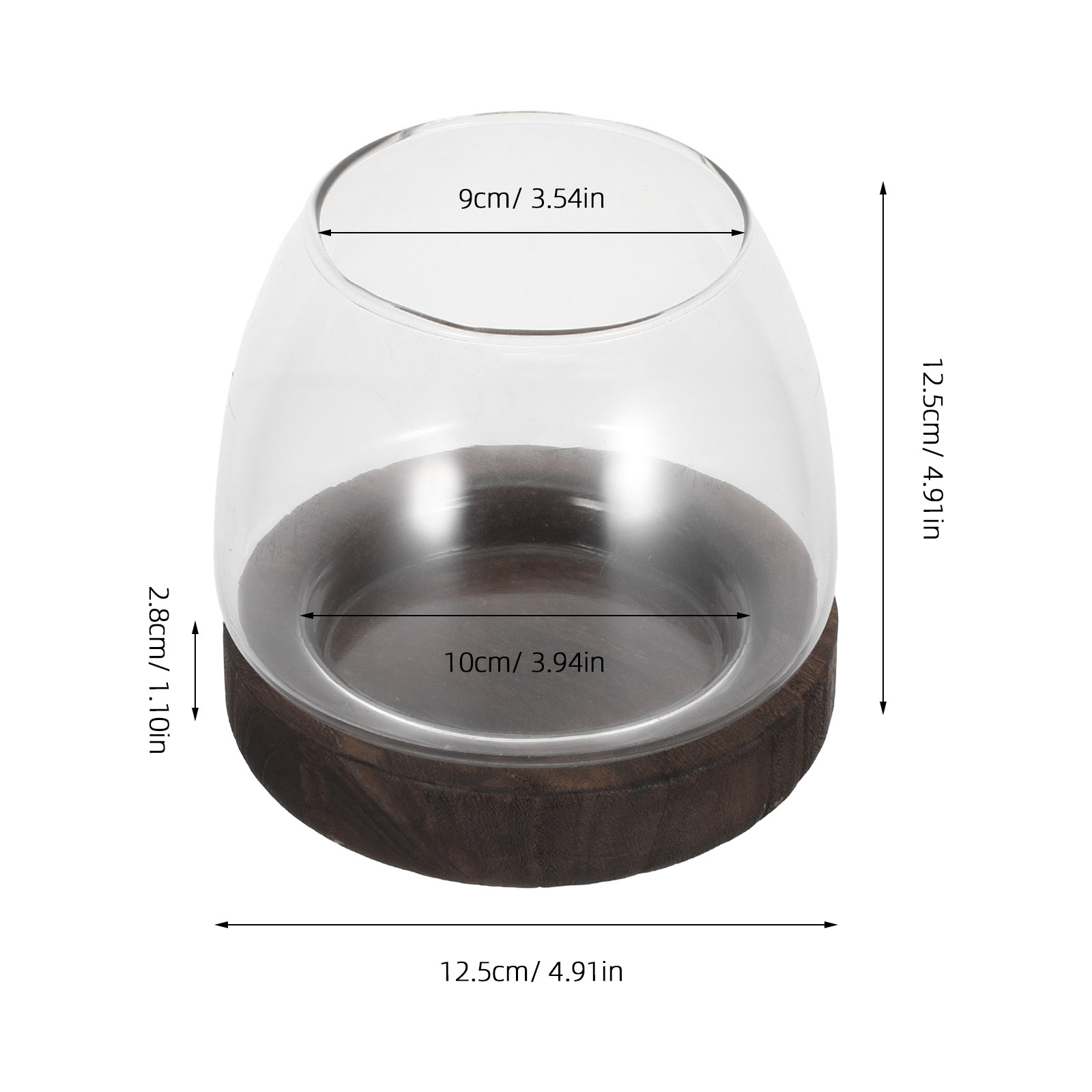 Round Glass Hydroponic Plant H - Aquarium Plant Holder ulasan dan harga