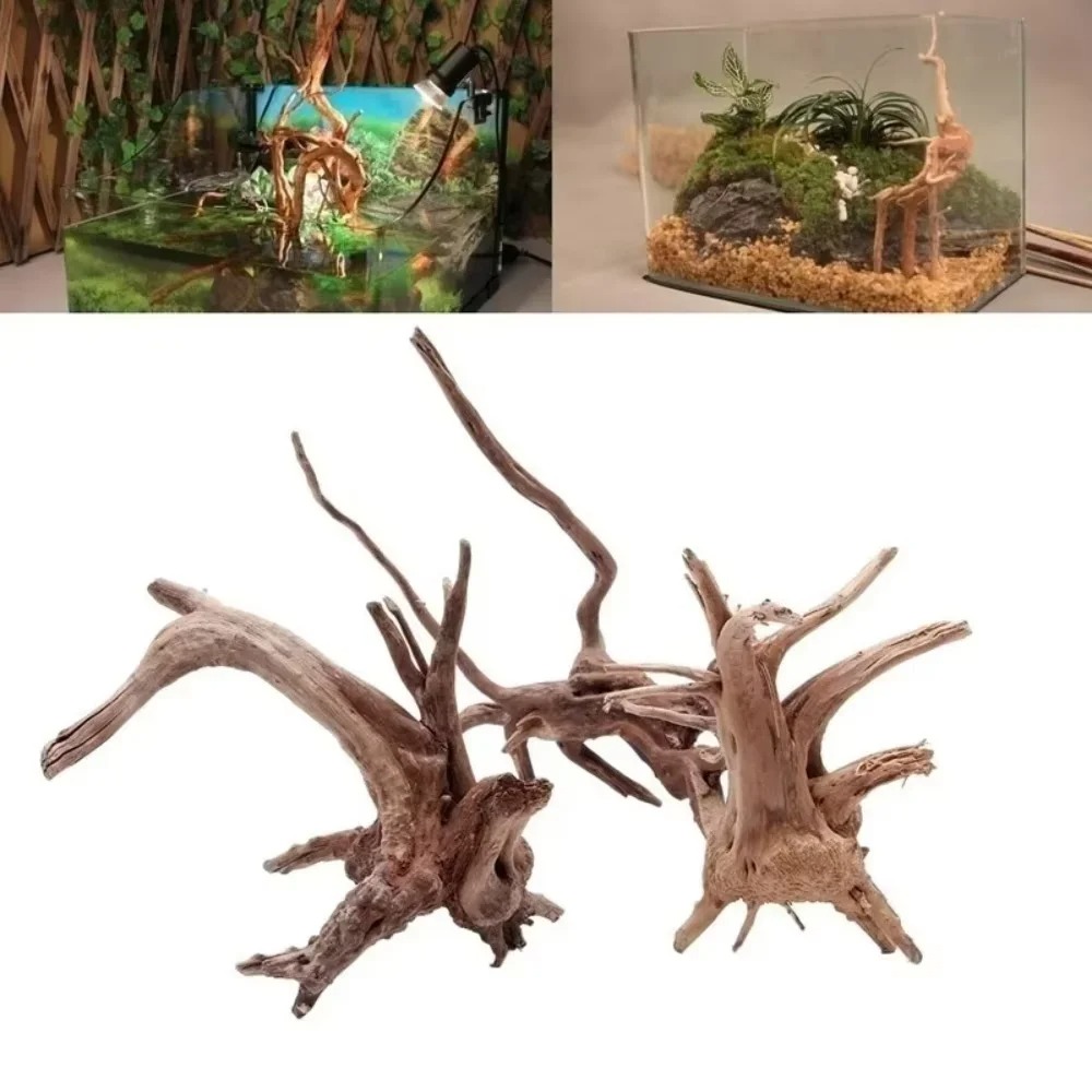 15-20CM Natural Driftwood Aqua - Aquarium Moss ulasan dan harga