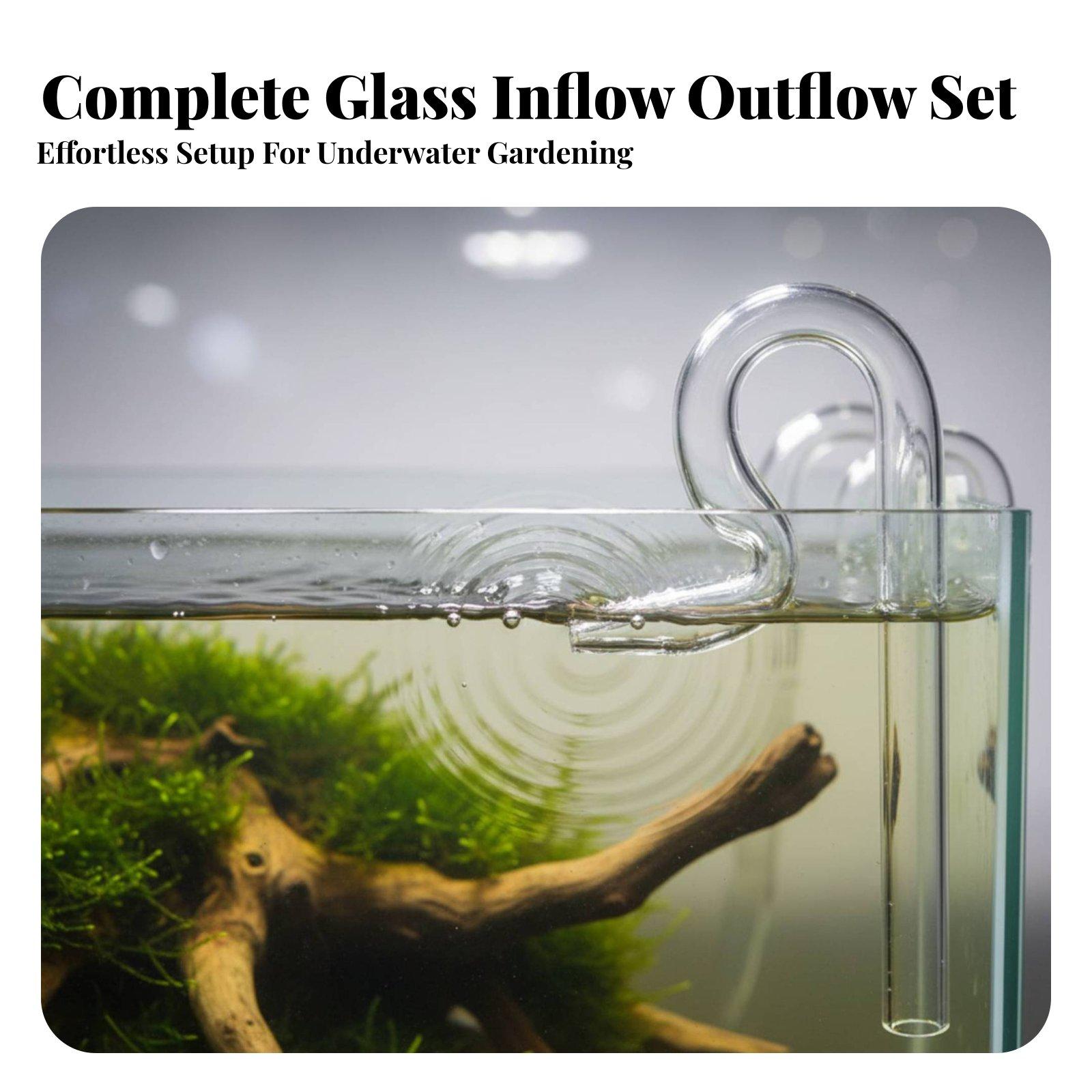 Planted Tank Glass Lily Pipe I - Aquarium Planted Tank Filter ulasan dan harga
