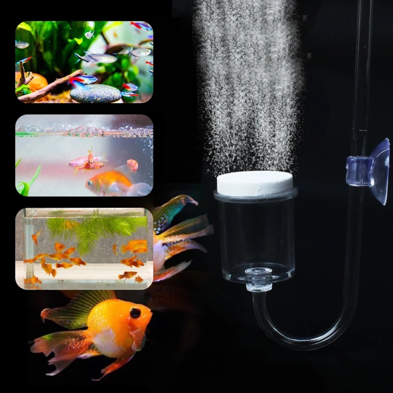 4pcs Set DIY CO2 Diffuser For  - Aquarium Liquid Carbon ulasan dan harga