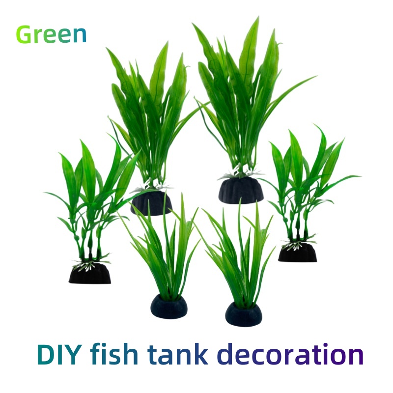 6pcs Packs Aquarium Plants, Fi - Aquarium Plants Live ulasan dan harga